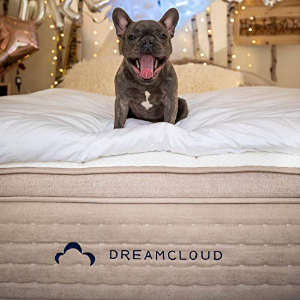 Dream Cloud 精选奢华优质床垫促销 多尺寸可选