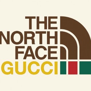已发售 €410收棒球帽Gucci x The North Face 2.0 合作系列 王炸组合卷土重来