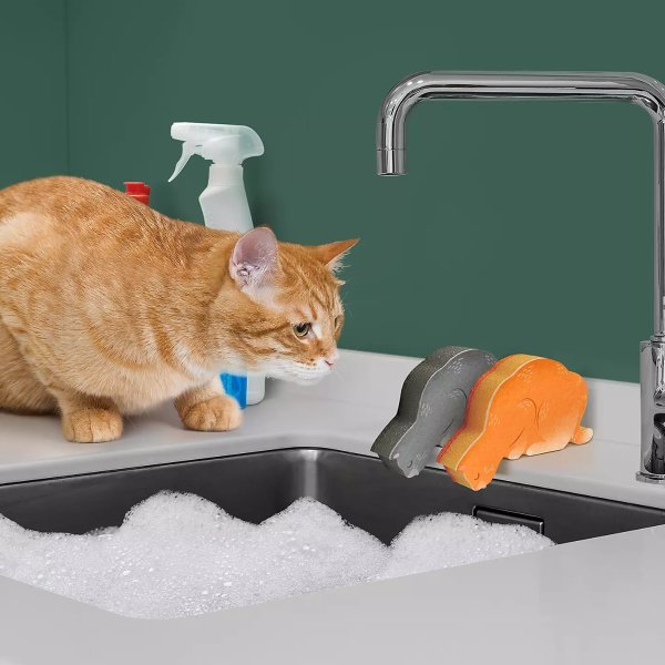 猫猫洗碗海绵