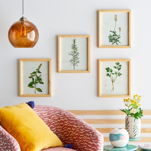 Herb Framed Wall Art by Drew Barrymore Flower Home - Set of 4