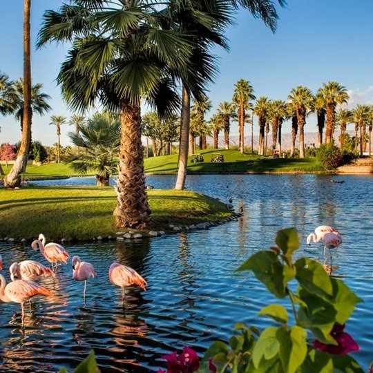 $369 & up – JW Marriott Palm Desert stay w/$100 resort credit