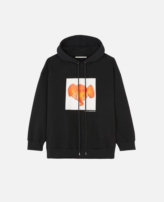 Women's Black Elephant Tangerine Sweatshirt 