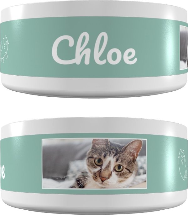 Personalized Playful Kitty Ceramic Cat Bowl, 1.1-cup - Chewy.com