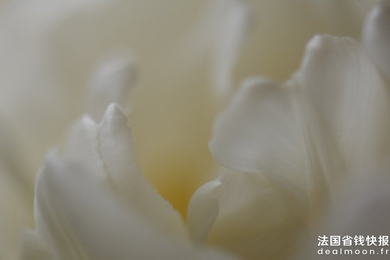 stan-k-KbjZPBvSMAk-unsplash