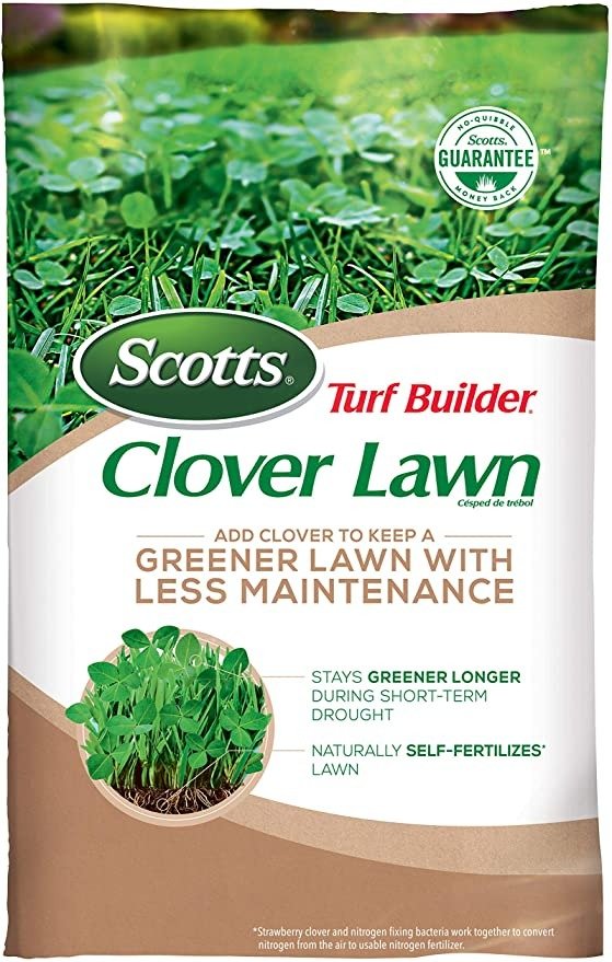 Turf Builder Clover Lawn, 2 Lb