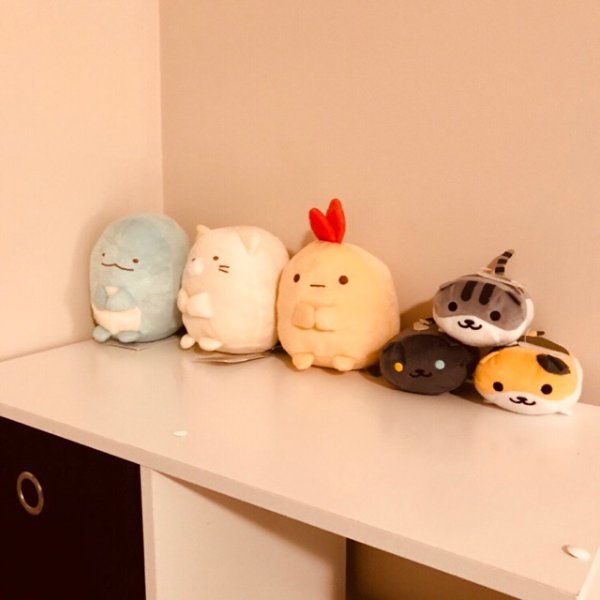 晒货图片