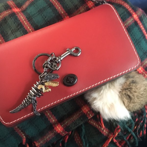 晒货图片