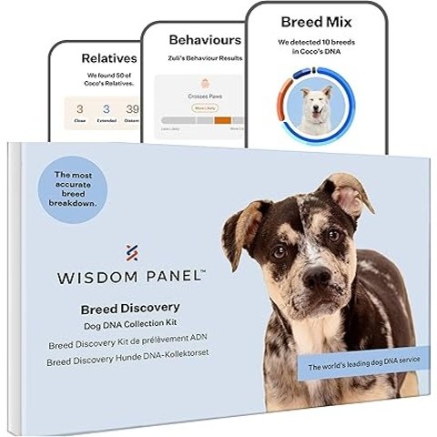 Wisdom Panel 狗狗DNA祖源分析