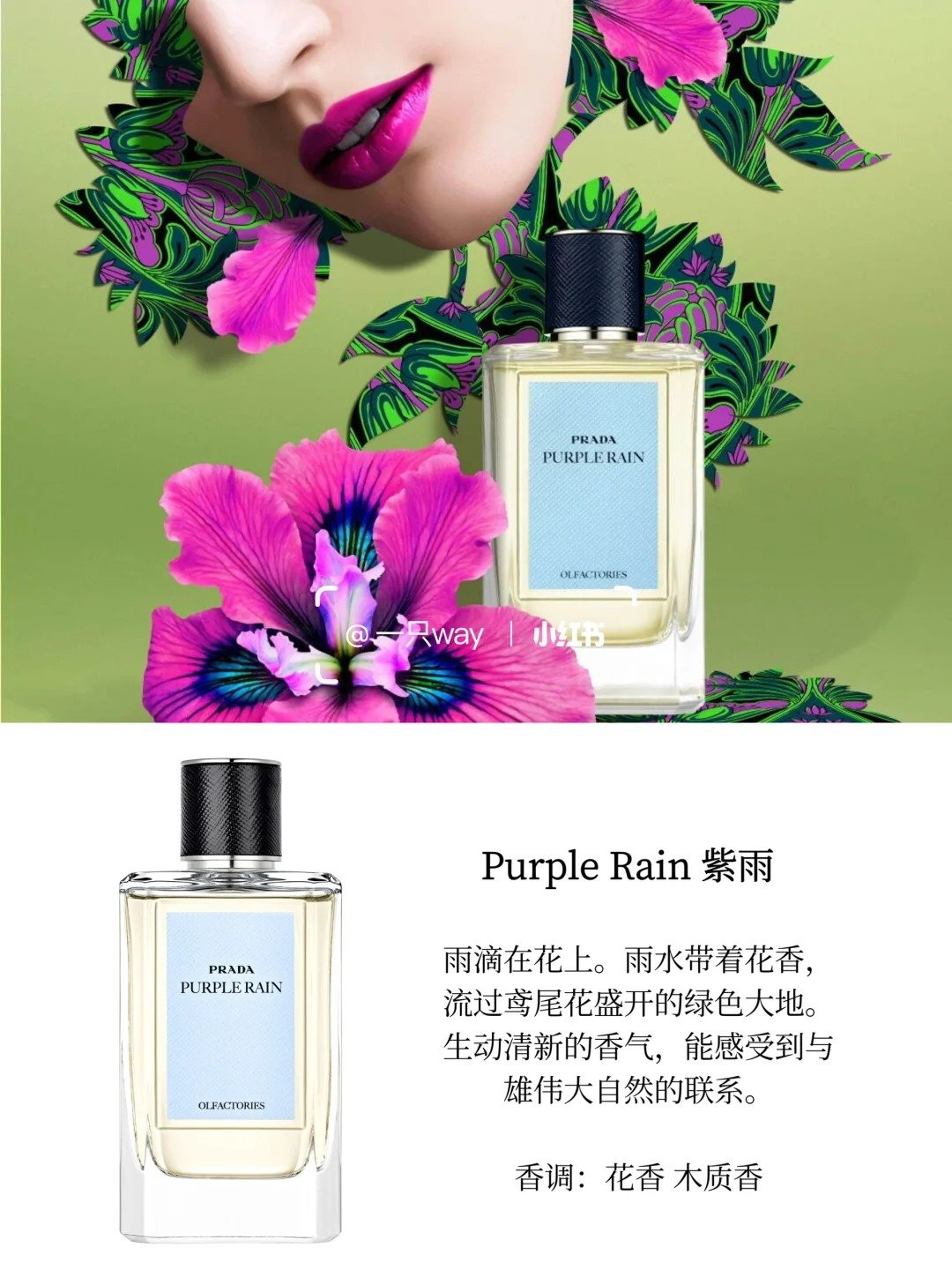 预告：Prada美妆「2025春季新品」🎭鸢尾花和雨水的美妙联动
