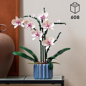 Amazon 兰花盆栽 10311