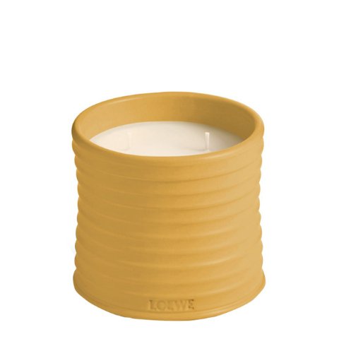 Wasabi 中号香薰蜡烛 610g