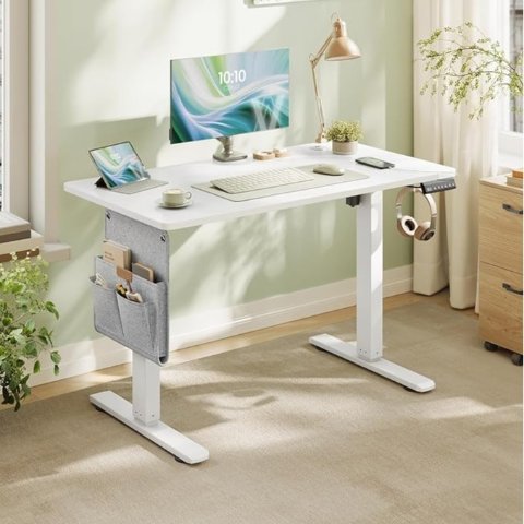 VASAGLE 升降电动桌 100x60cm