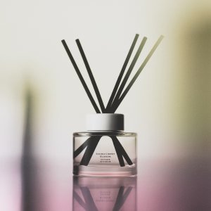 春日氛围感！香水£59