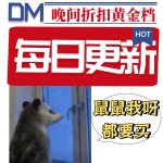 6/7更新✅DM晚间1818黄金档 |今日必买Top3！