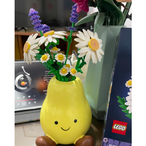 Lego雏菊花卉拼装
