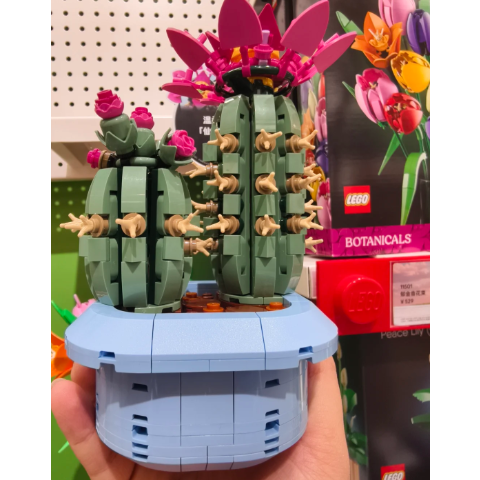 Lego 花卉仙人掌积木