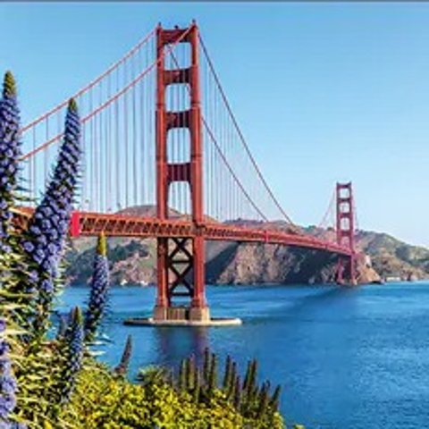 Princess Cruises洛杉矶-温哥华7天太平洋行程