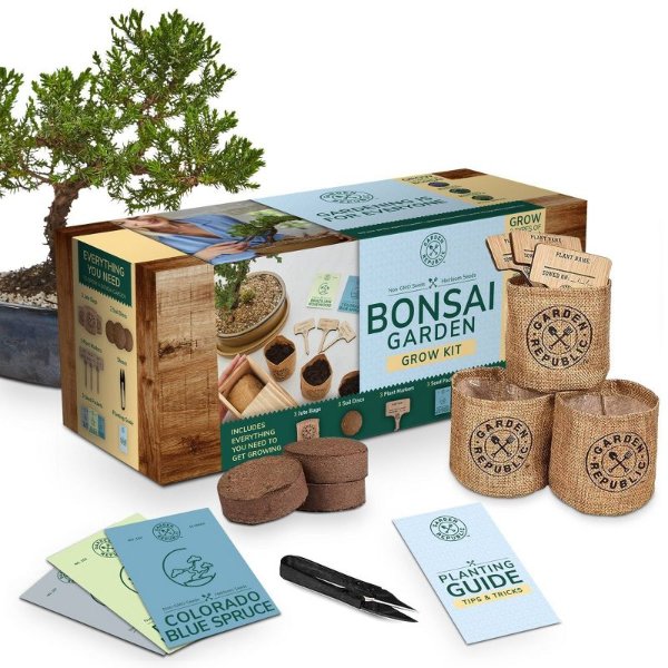 Garden Republic Bonsai Starter Kit in Wooden Giftbox