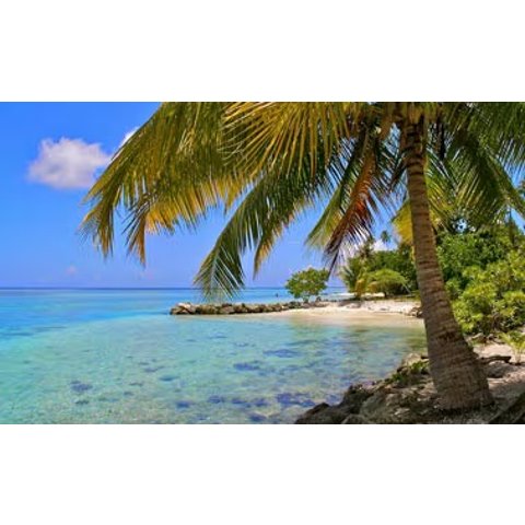 Princess Cruises德州往返8天西加勒比墨西哥行程