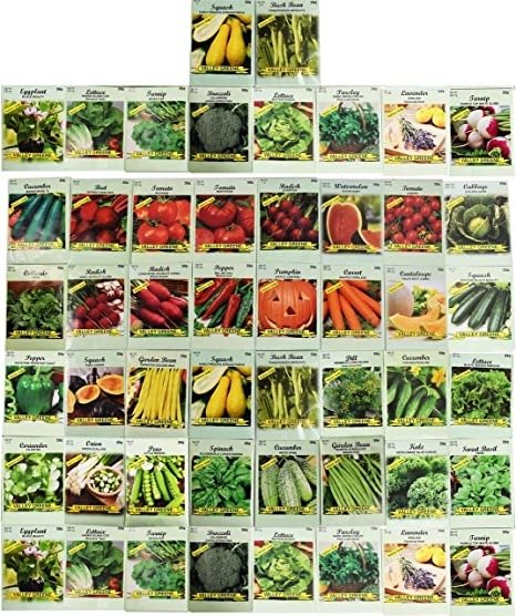 50 Packs Assorted Heirloom Vegetable Seeds 20+ Varieties All Seeds are Heirloom, 100% Non-GMO
