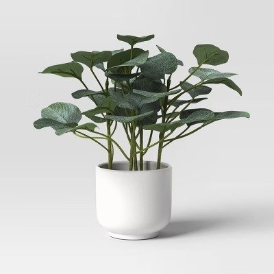 Artificial Eucalyptus Plant - Threshold™: Indoor Greenery Decor, 10" Tall, White Pot