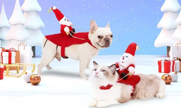 Pet Christmas Costume with Santa Claus on Sleigh & Bell for Dogs & Cats