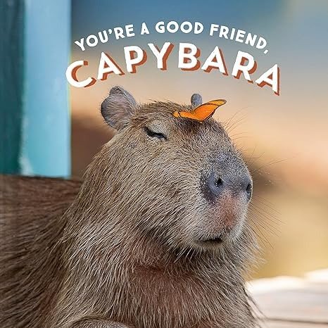 Capybara 童书