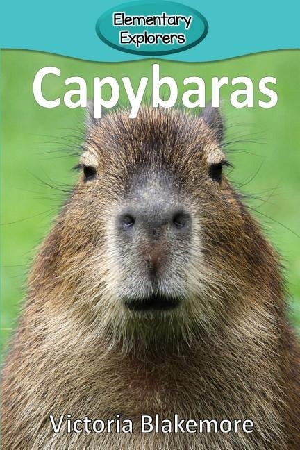 Capybara 童书