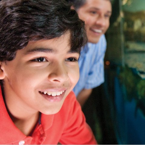 加州 San Diego 教师2026入园年卡