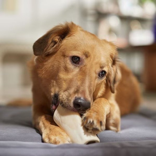 BONES & CHEWS Made in USA Peanut Butter Flavored Filled Bone Dog Treats, 1 count - Chewy.com