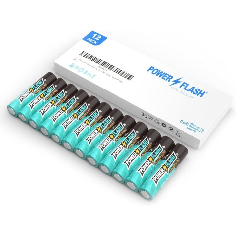 POWER FLASH Alkaline Battery, Long-Lasting Power, Leakproof Design, 10 Years Shelf Life (24)