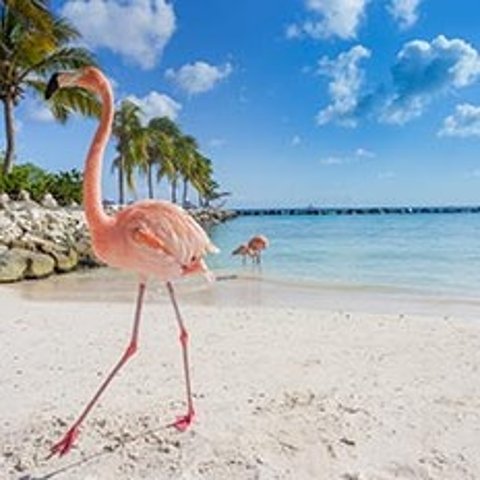 Princess Cruises8-Day Southern Caribbean with ABC Islands