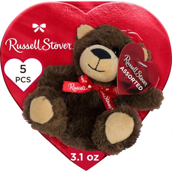 Valentine's Day Plush Bear with Red Foil Heart Assorted Milk & Dark Chocolate Candy Gift Box, 3.1 oz. (5 Pieces)