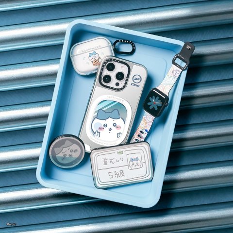 Casetify Casetify Anywhere Door Collectible Case - iPhone 15