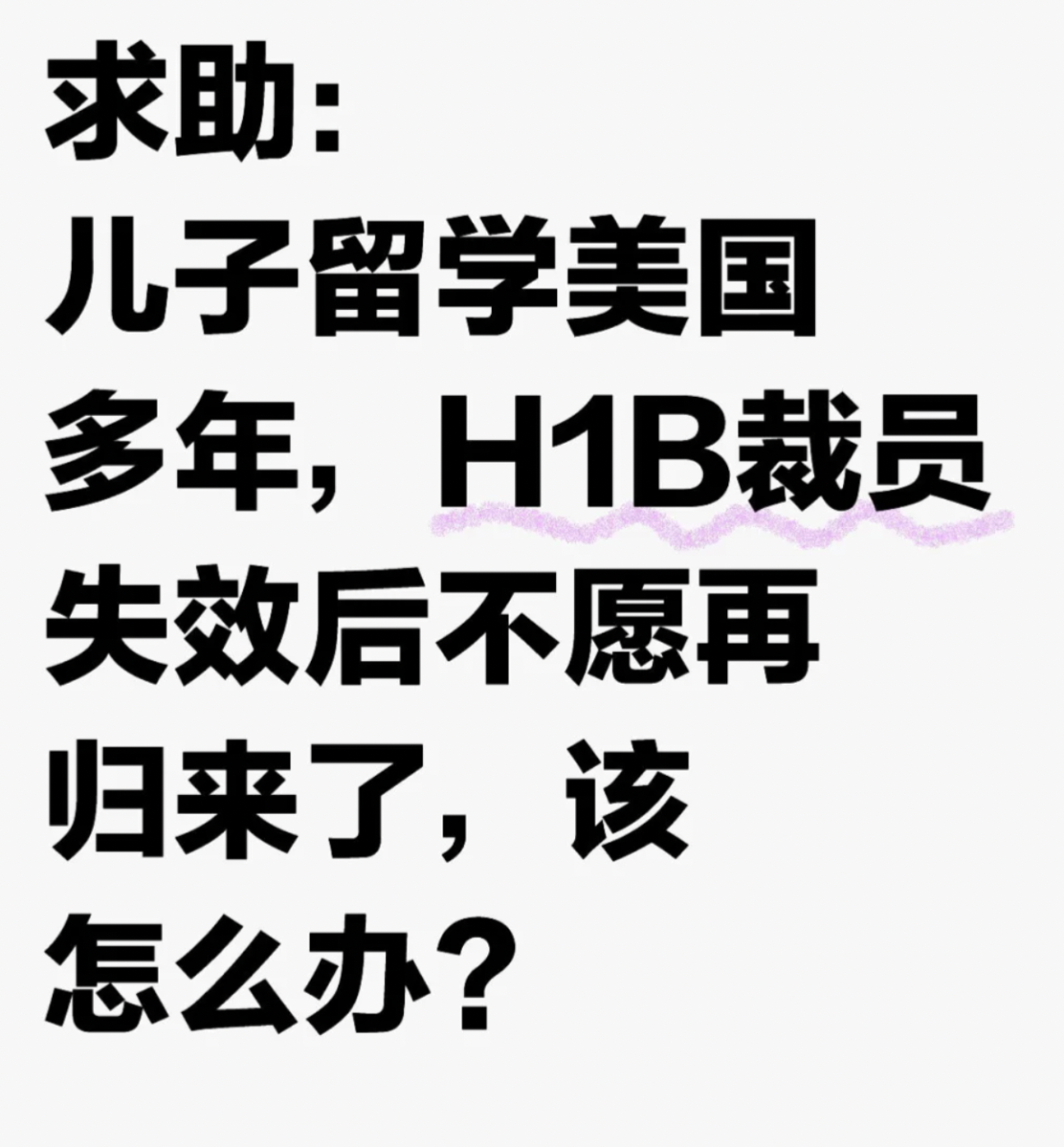 【求助】儿子留学美国H1B失效后不愿再归...