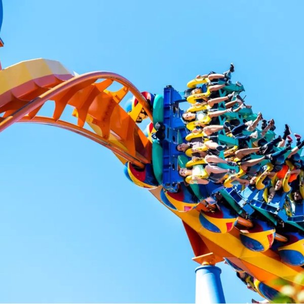 Dorney Park & Wildwater Kingdom 门票