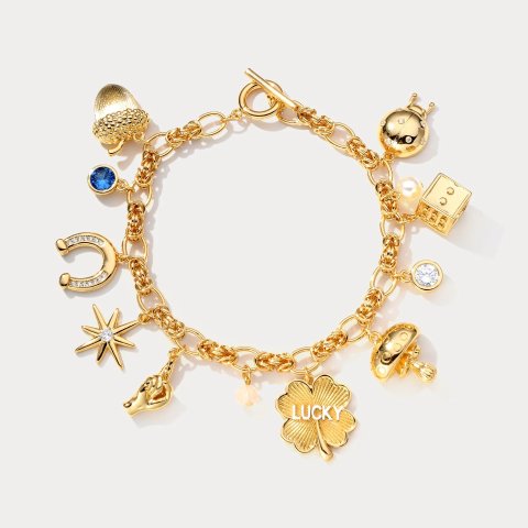 Lucky Charm Bracelet