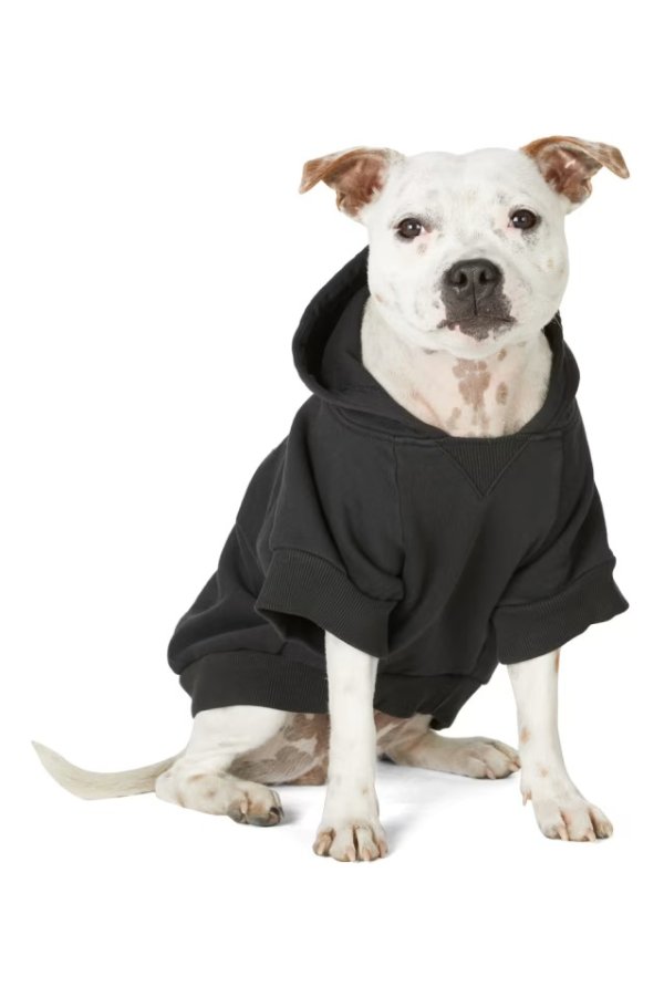 SSENSE Exclusive Black Painted Mascot Hoodie