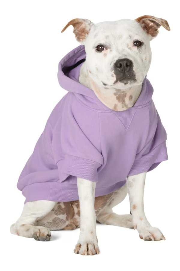 SSENSE Exclusive Purple Painted Mascot Hoodie