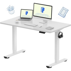 FLEXISPOT  EN1 白色升降桌 48x24英寸