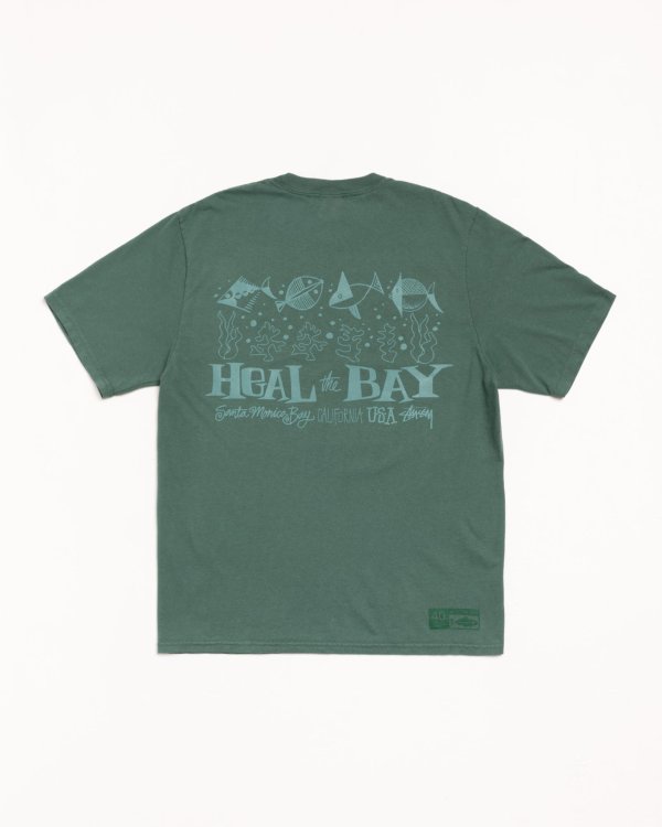 Stüssy Heal The Bay 40 TEE Pigment Dyed Shirt
