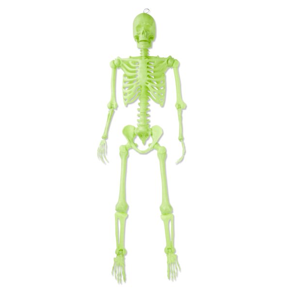 Way To Celebrate Glow-in-the-Dark Skeleton 5ft