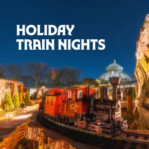 NYBG 假日列车夜场门票