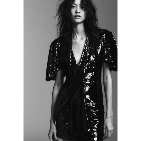 ZaraShort Sequin Dress