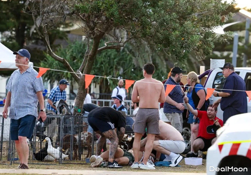 1765708704693e93a0b59ea