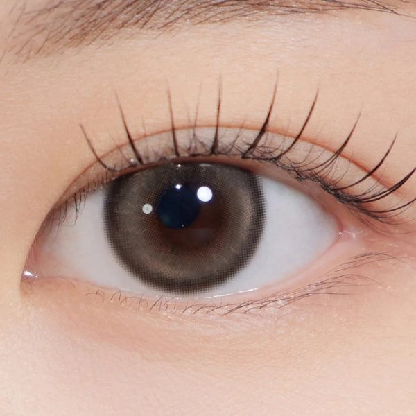 Hapa Kristin Bean Kristin 1Day Daily Disposable Contact Lenses Raw Brown