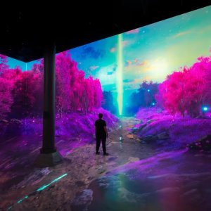 SUBMERGE 沉浸式数字艺术展