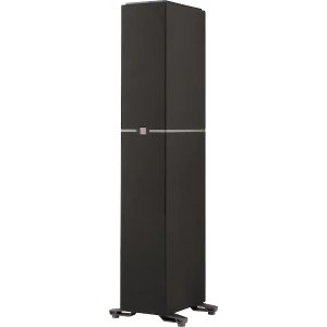 DEFINITIVE TECHNOLOGY Definitive Dymension DM40 黑色塔式音箱