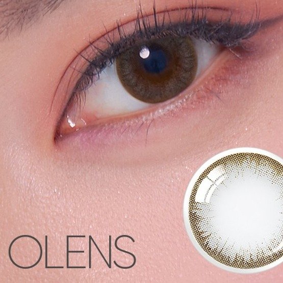 Pointe Gray Half-Year Disposable Contact Lenses
