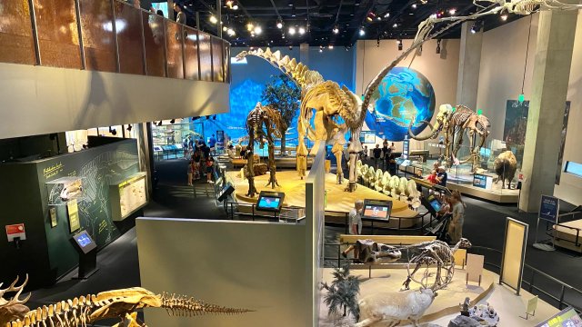 除了免费日，这些北美博物馆省钱妙招...